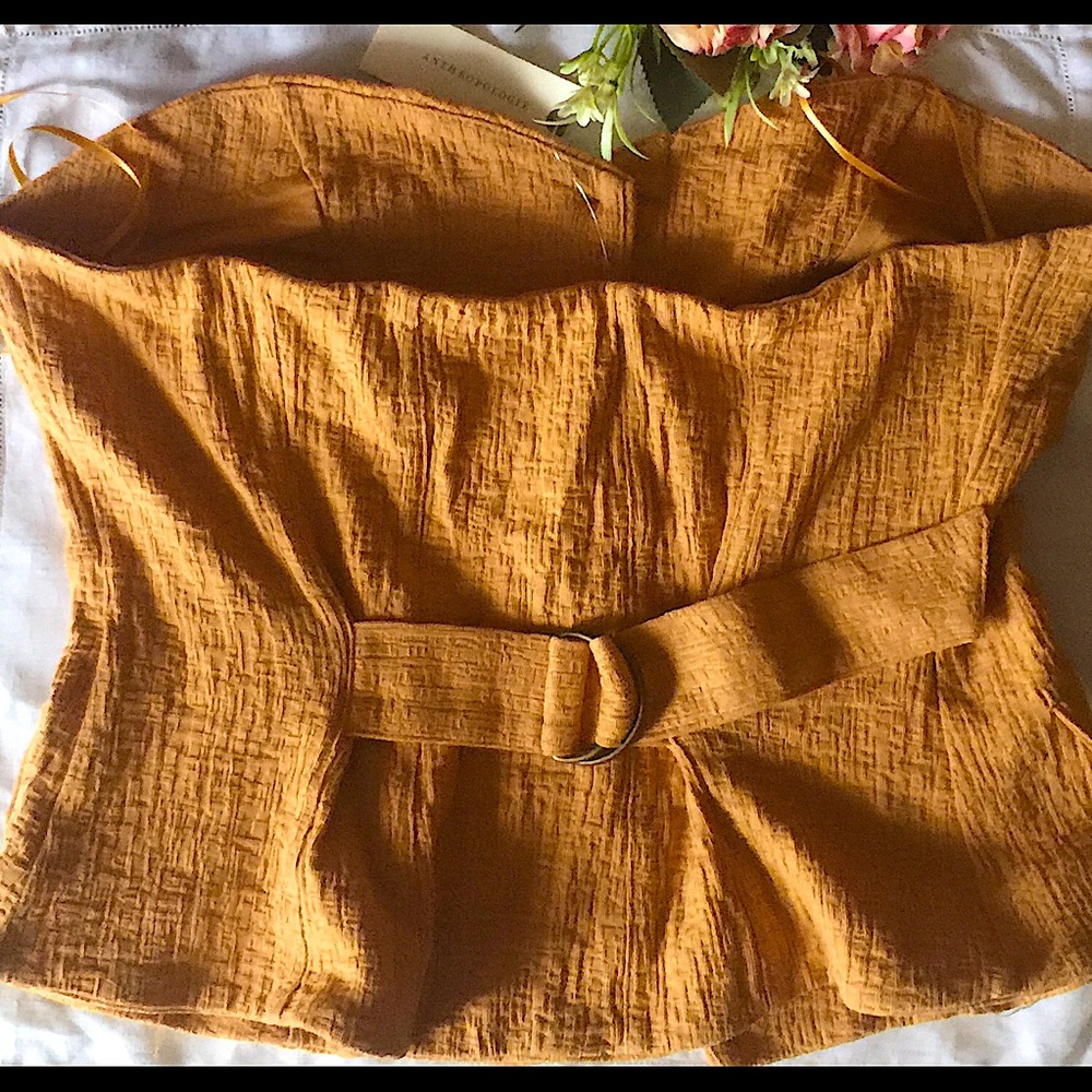 ANTHROPOLOGIE Tailored Corset Tube - Picture 6 of 10